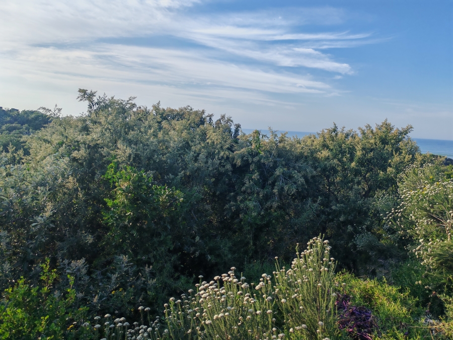 0 Bedroom Property for Sale in Boknesstrand Eastern Cape